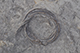 FileNo.186-191.jpg