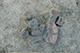 FileNo.186-236.jpg