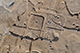 FileNo.186-240.jpg