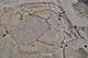 FileNo.186-241.jpg