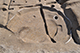 FileNo.186-243.jpg