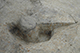 FileNo.186-247.jpg