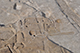 FileNo.186-251.jpg