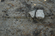 FileNo.186-255.jpg