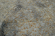 FileNo.186-261.jpg