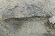 FileNo.186-267.jpg