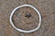 FileNo.186-281.jpg