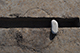 FileNo.186-292.jpg