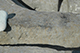 FileNo.186-293.jpg