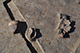FileNo.186-304.jpg