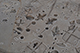 FileNo.186-305.jpg