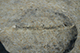 FileNo.186-307.jpg