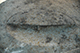 FileNo.186-312.jpg