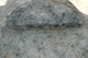 FileNo.186-349.jpg