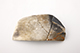 FileNo.186-400.jpg