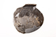 FileNo.186-432.jpg
