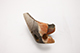 FileNo.186-446.jpg