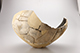 FileNo.186-465.jpg