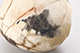 FileNo.186-469.jpg