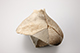 FileNo.186-476.jpg
