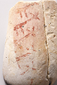 FileNo.186-486.jpg