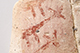 FileNo.186-488.jpg