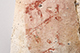 FileNo.186-489.jpg