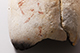 FileNo.186-492.jpg
