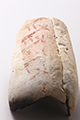FileNo.186-493.jpg