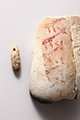 FileNo.186-495.jpg
