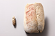 FileNo.186-496.jpg