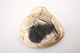 FileNo.186-500.jpg