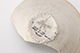 FileNo.186-508.jpg
