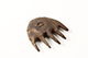 FileNo.186-524.jpg