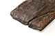 FileNo.186-542.jpg