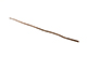 FileNo.186-600.jpg