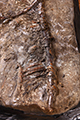 FileNo.186-619.jpg