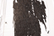 FileNo.186-625.jpg