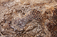 FileNo.186-629.jpg