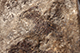 FileNo.186-631.jpg