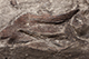 FileNo.186-669.jpg