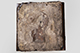 FileNo.186-671.jpg