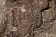 FileNo.186-675.jpg