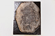 FileNo.186-676.jpg