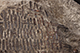 FileNo.186-678.jpg