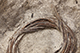 FileNo.186-682.jpg