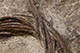 FileNo.186-683.jpg