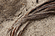 FileNo.186-684.jpg