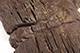 FileNo.186-688.jpg
