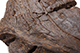 FileNo.186-691.jpg